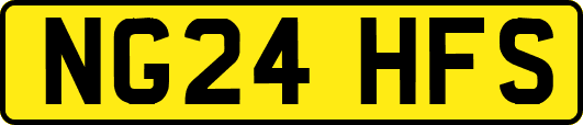 NG24HFS