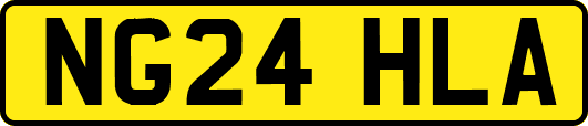 NG24HLA