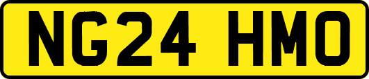NG24HMO