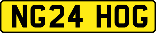 NG24HOG