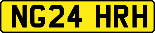 NG24HRH