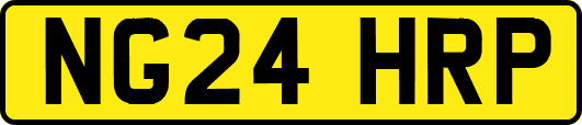 NG24HRP