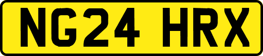 NG24HRX