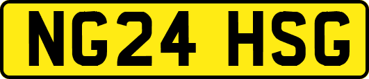 NG24HSG