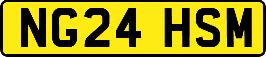 NG24HSM