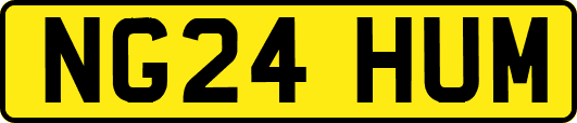 NG24HUM
