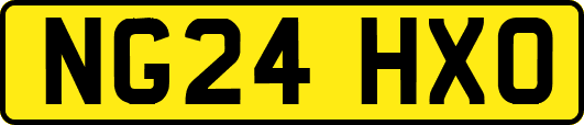 NG24HXO