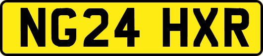 NG24HXR