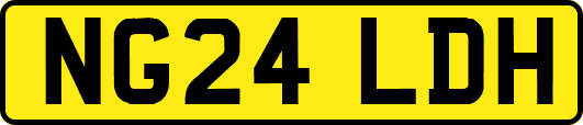 NG24LDH
