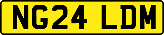 NG24LDM