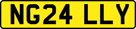 NG24LLY