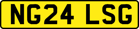 NG24LSG