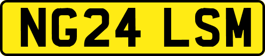 NG24LSM