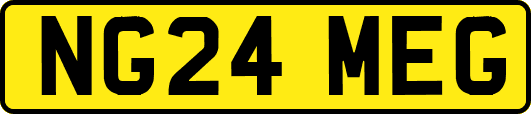 NG24MEG