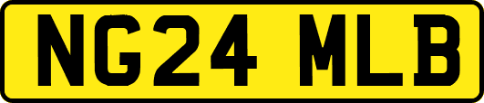 NG24MLB