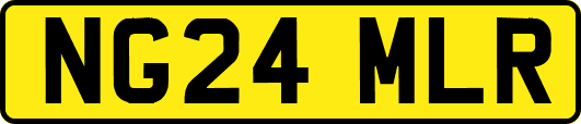 NG24MLR