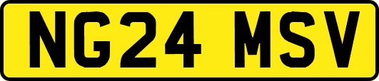 NG24MSV