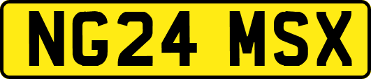 NG24MSX