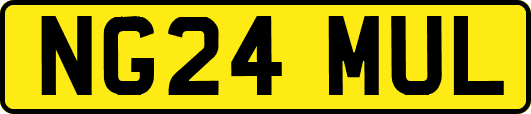 NG24MUL