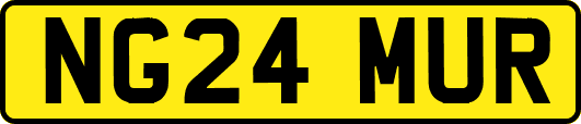 NG24MUR