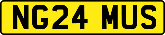 NG24MUS