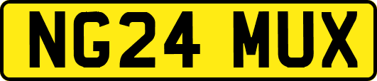 NG24MUX