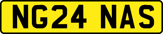 NG24NAS