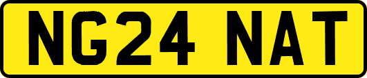 NG24NAT