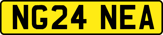 NG24NEA