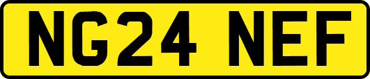 NG24NEF