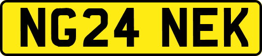 NG24NEK