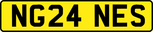 NG24NES