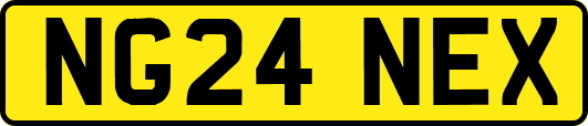 NG24NEX