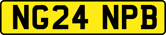 NG24NPB