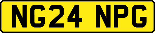 NG24NPG
