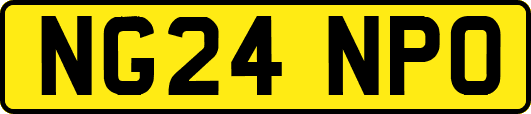 NG24NPO