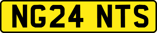 NG24NTS