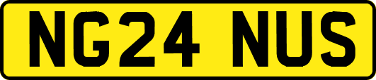 NG24NUS