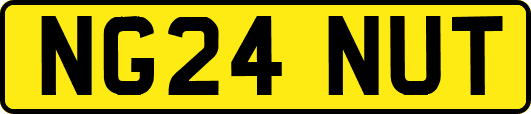 NG24NUT