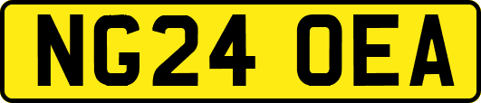 NG24OEA