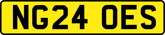 NG24OES