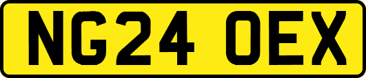 NG24OEX