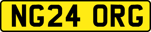 NG24ORG