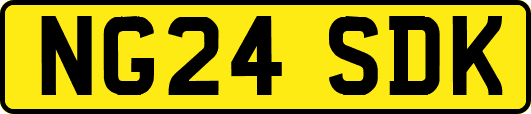 NG24SDK