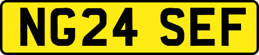 NG24SEF