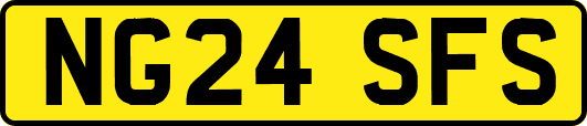 NG24SFS