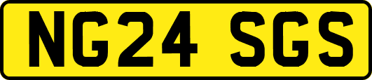 NG24SGS