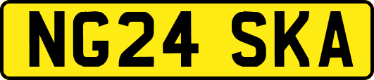 NG24SKA