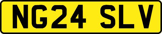 NG24SLV