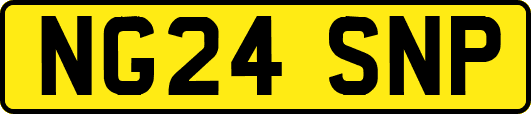 NG24SNP